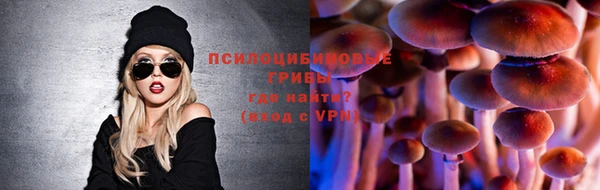 бошки Алексеевка