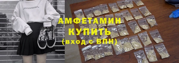 мдпв Инсар