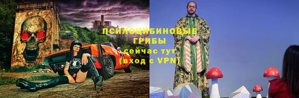 бошки Алексеевка