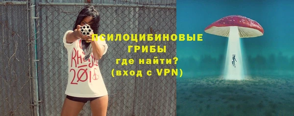 бошки Алексеевка