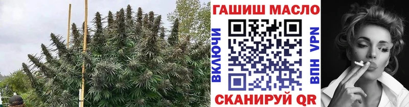 как найти   Ардатов  Дистиллят ТГК Wax 