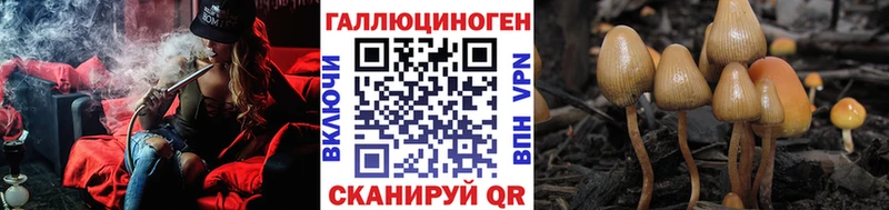 Галлюциногенные грибы MAGIC MUSHROOMS  цены наркотик  Ардатов 